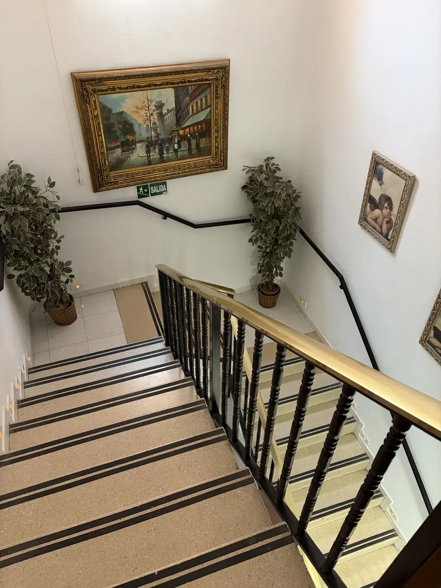 Escalera con barandilla, pasamanos, cuadros y plantas