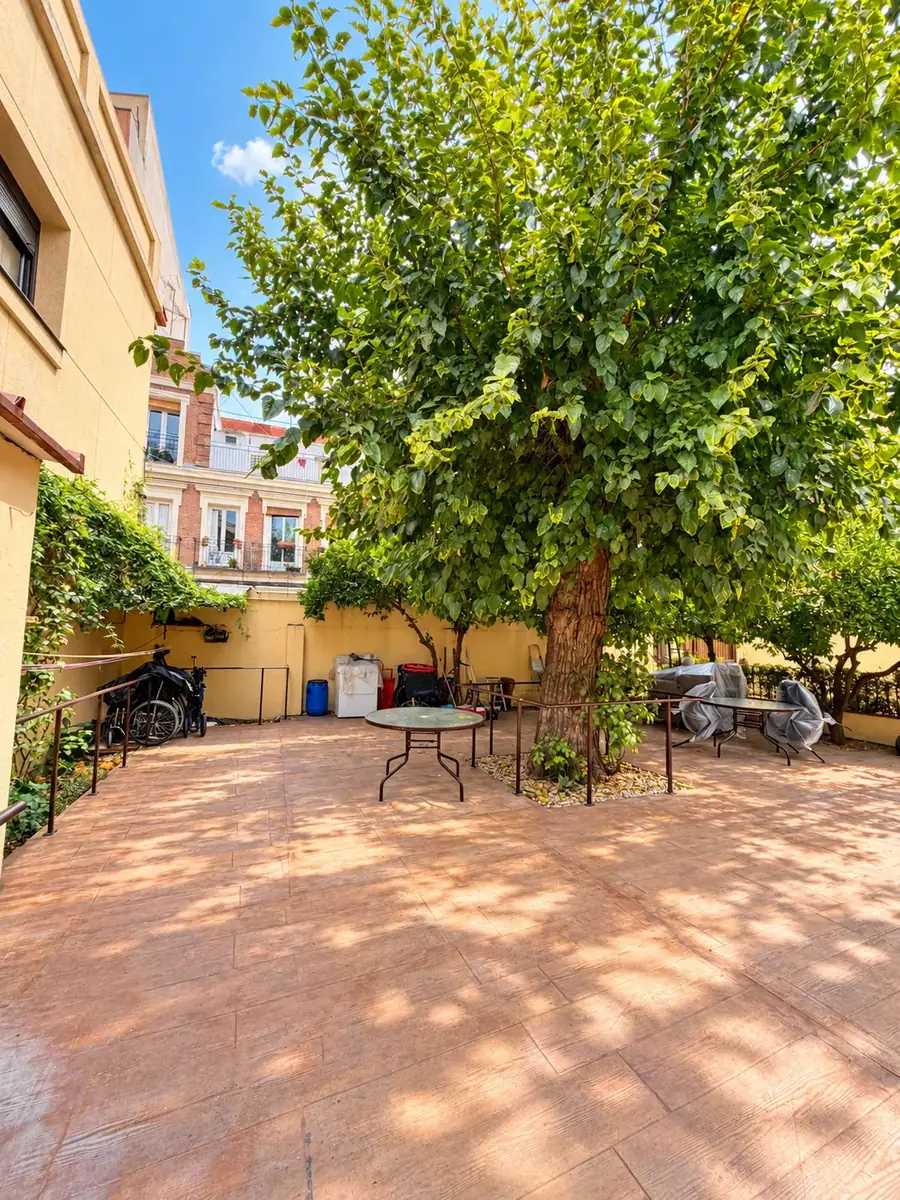 Patio amplio con un gran árbol y mesas